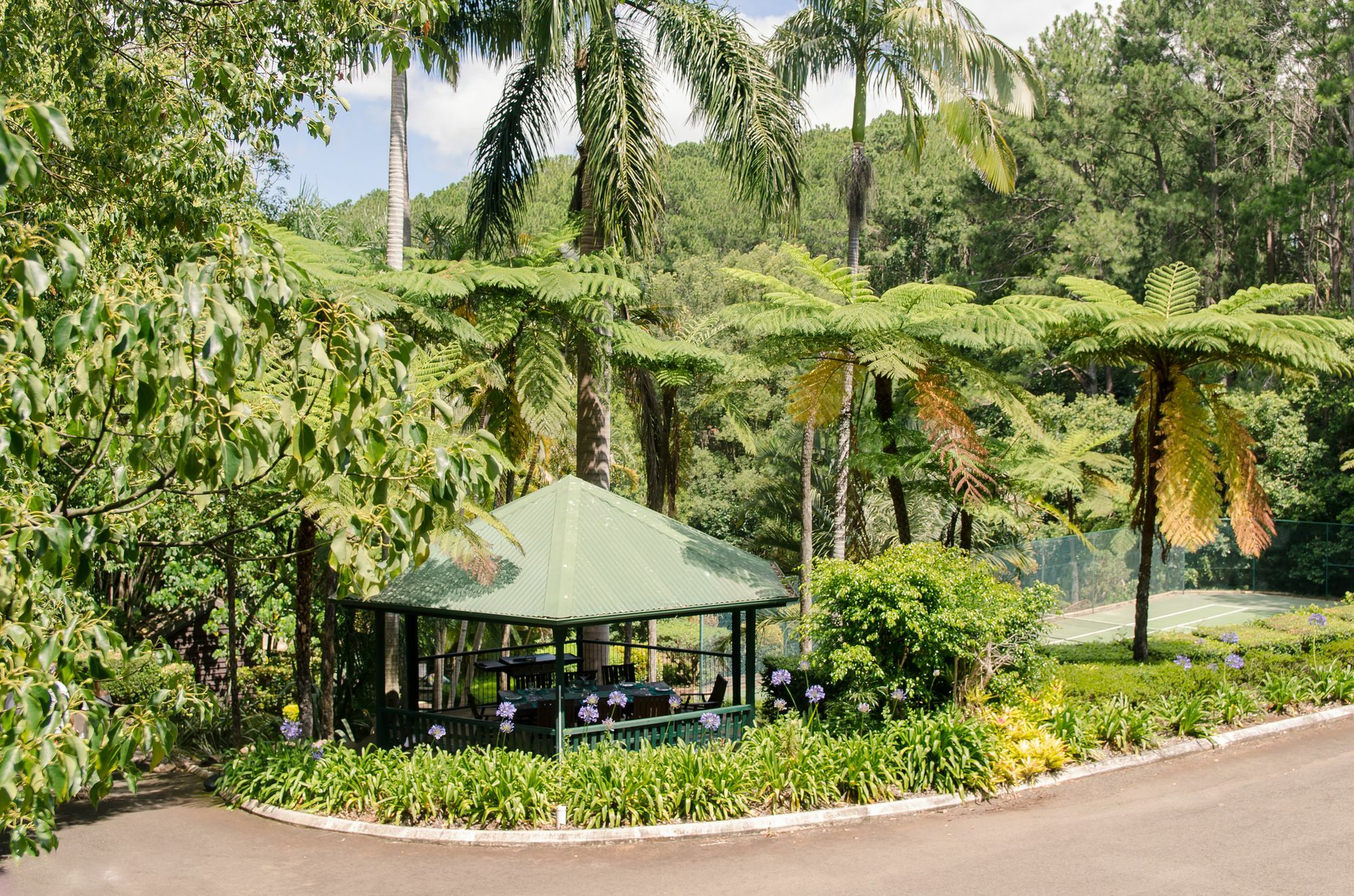 Montville Mountain Inn Extérieur photo
